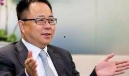 李峰最新爆料视频播放,事件真相与幕后黑手